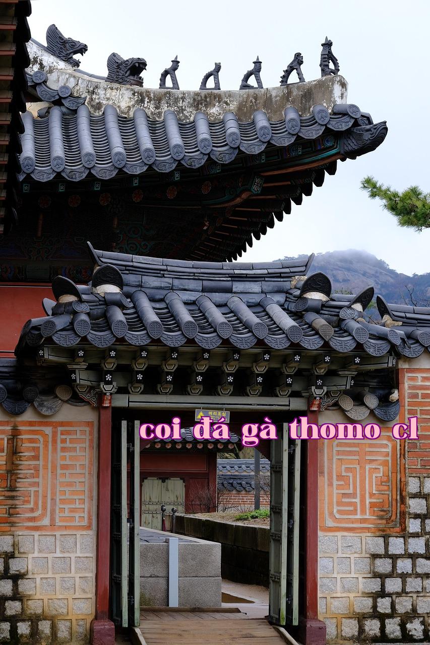 Đọc "Gọi tên trong mưa phùn" - winvn com9